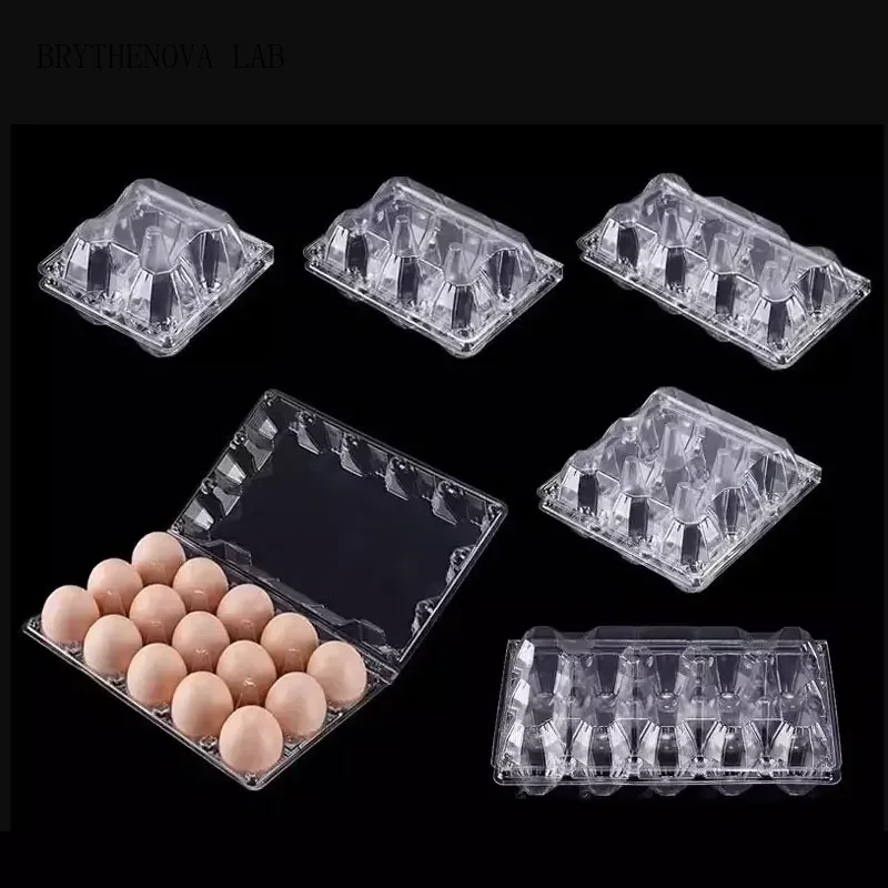 20pcs Disposable Plastic Egg B - огляд і ціна Event Party Box
