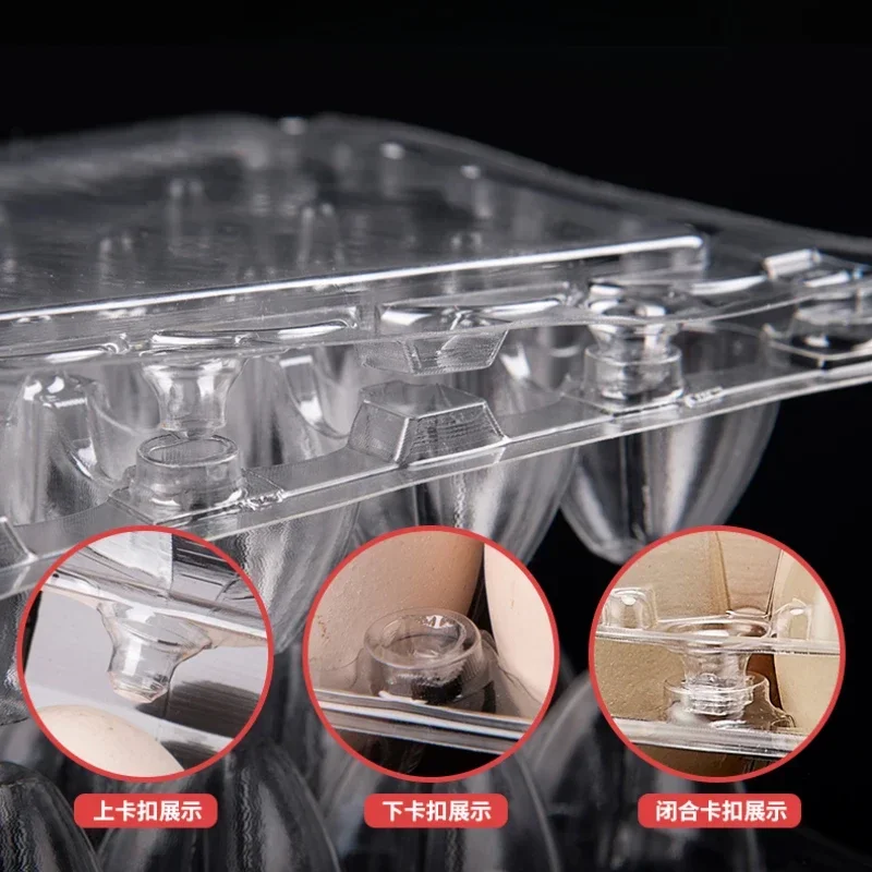 20pcs Disposable Plastic Egg B - огляд і ціна Event Party Box